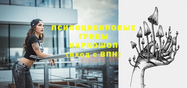 первитин Абинск