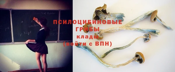 гидропоника Наволоки