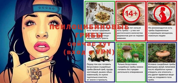 дмт Навашино