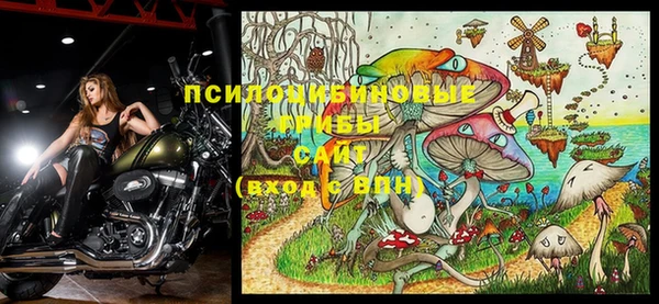 первитин Абинск